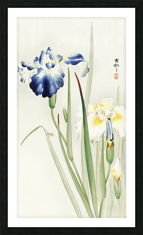 Irises 1900 - 1936 by Ohara Koson 1877-1945. Picture Frame print