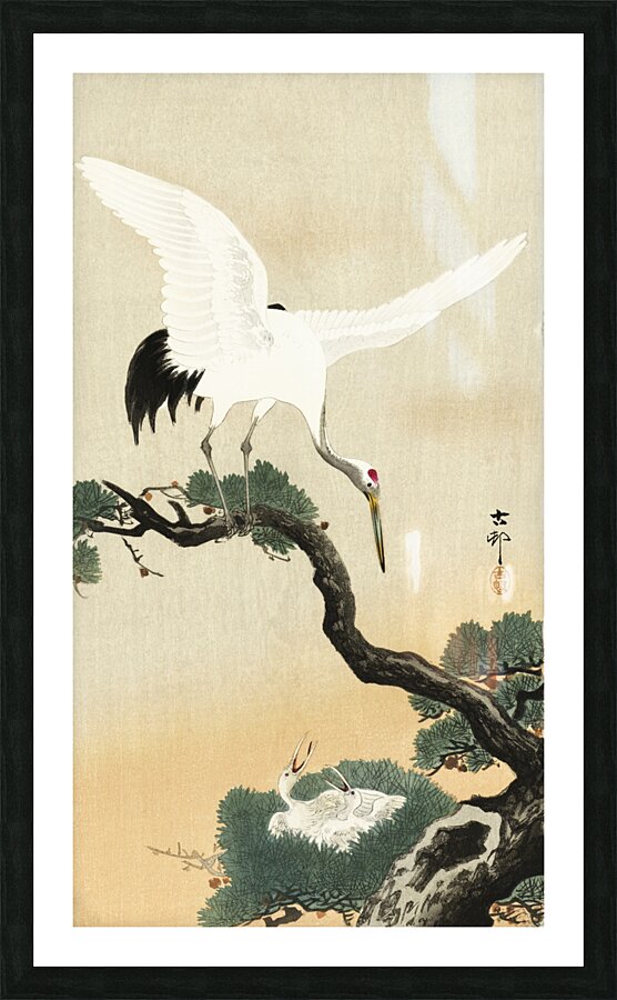 Japanese crane bird on branch of pine 1900 - 1930 by Ohara Koson 1877-1945. Picture Frame print