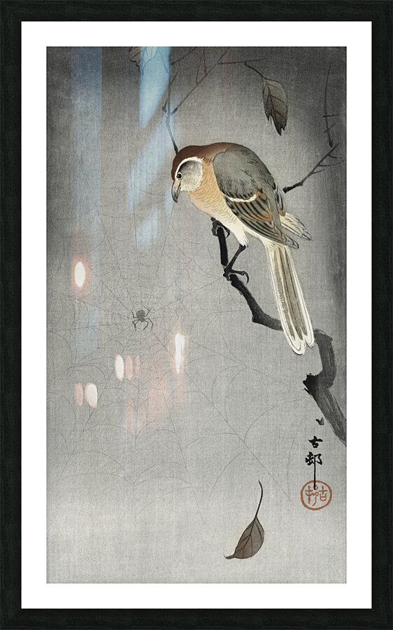 Buffalo wing shrike and spider 1900 - 1930 by Ohara Koson 1877-1945. Picture Frame print