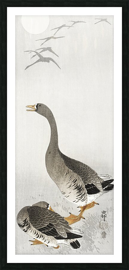 Two geese 1900 - 1910 by Ohara Koson 1877-1945. Picture Frame print