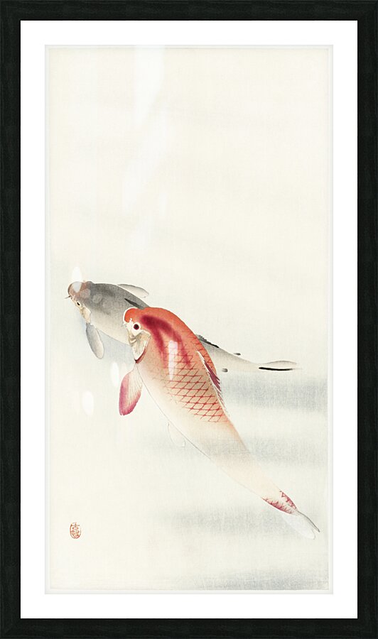 Two carp 1900 - 1930 by Ohara Koson 1877-1945. Picture Frame print