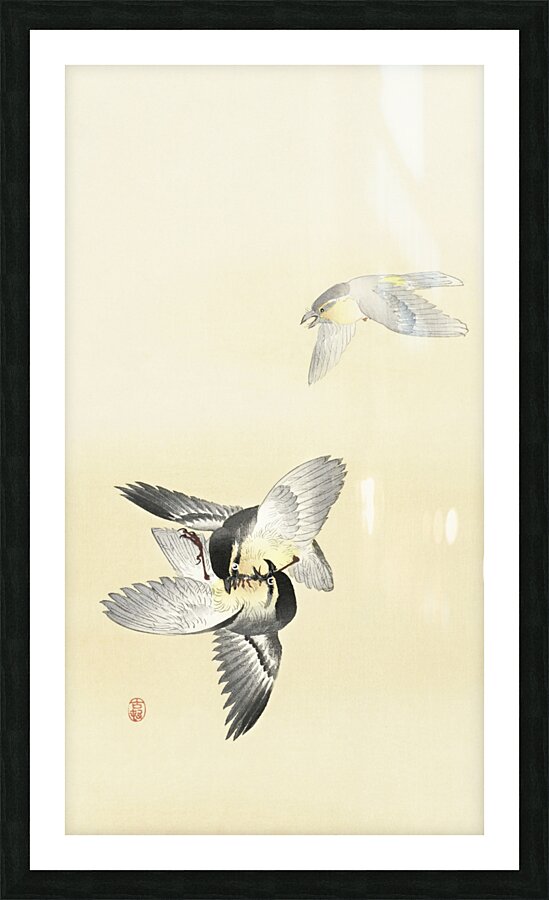 Two fighting birds 1900 - 1936 by Ohara Koson 1877-1945. Picture Frame print
