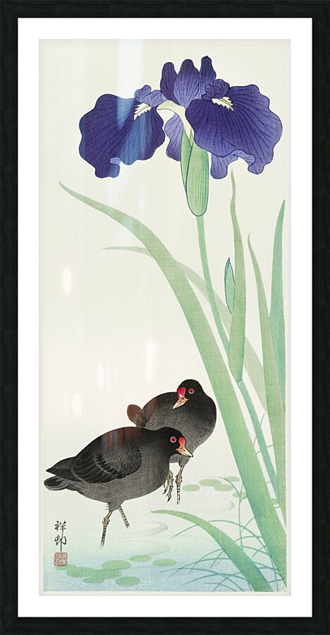 Waterhoots and iris 1925 - 1936 by Ohara Koson 1877-1945. Picture Frame print