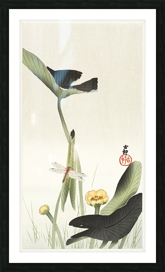 Libelle and lotus 1900 - 1930 by Ohara Koson 1877-1945. Picture Frame print