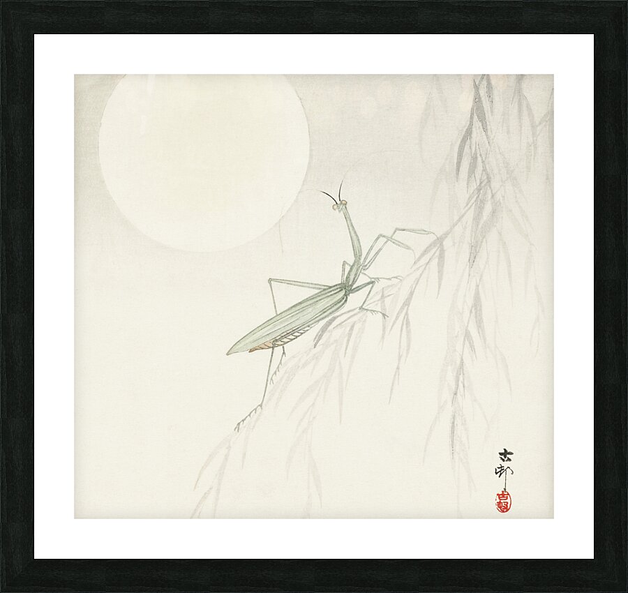 Praying mantis 1900 - 1936 by Ohara Koson 1877-1945. Picture Frame print