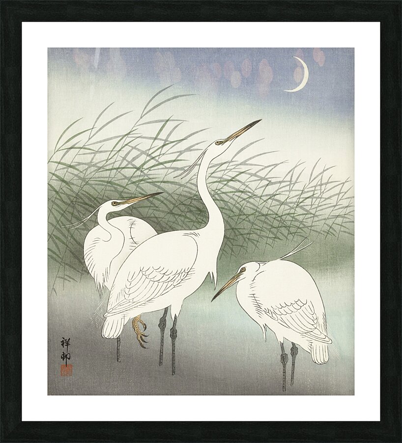 Praying mantis 1900 - 1936 by Ohara Koson 1877-1945. Picture Frame print