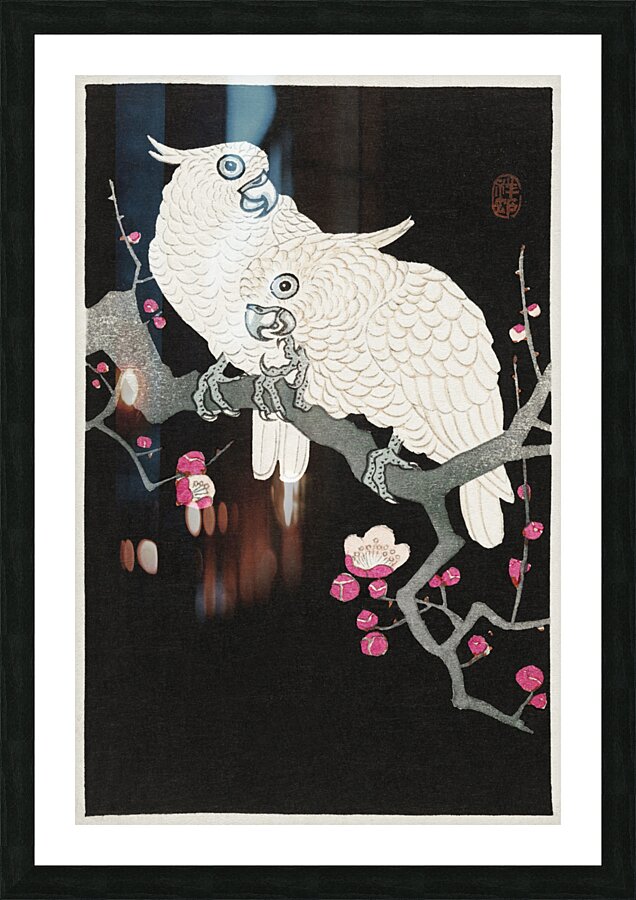 Two cockatoo and plum blossom 1925 - 1936 by Ohara Koson 1877-1945. Picture Frame print