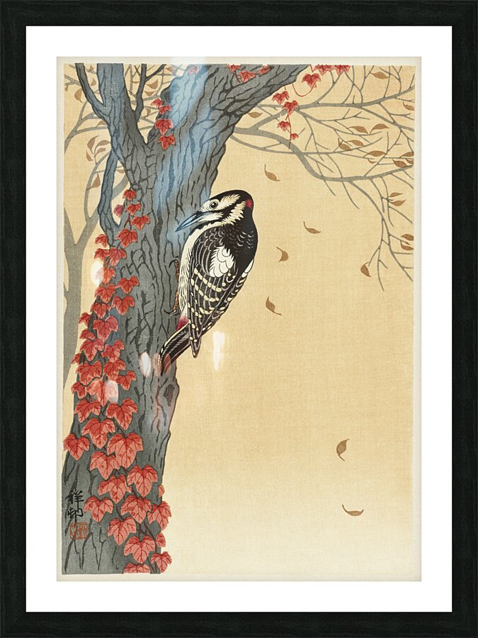 Great spotted woodpecker in tree with red ivy 1925 - 1936 by Ohara Koson 1877-1945. Picture Frame print
