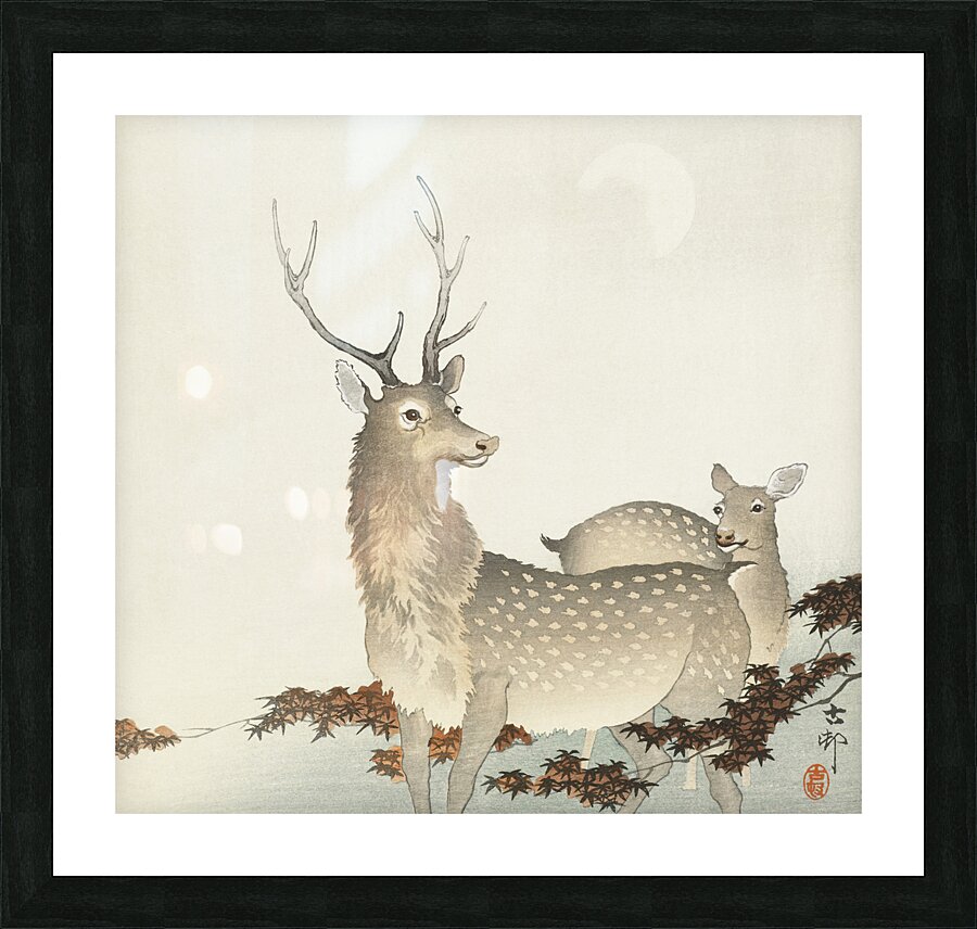 Couple of deers 1900 - 1930 by Ohara Koson 1877-1945. Picture Frame print