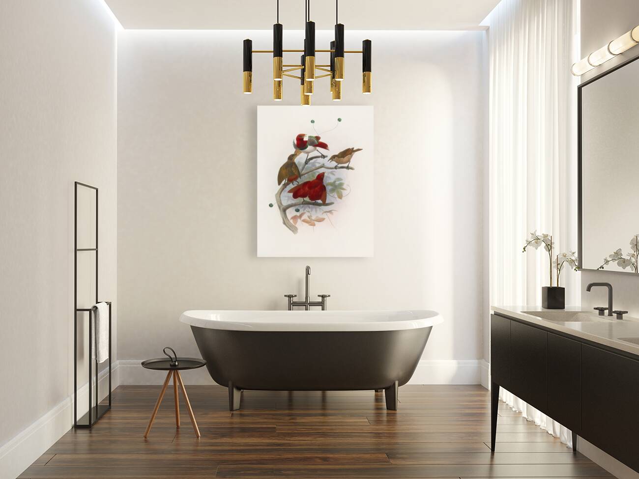 Cicinnurus regius 1873 Reproduction