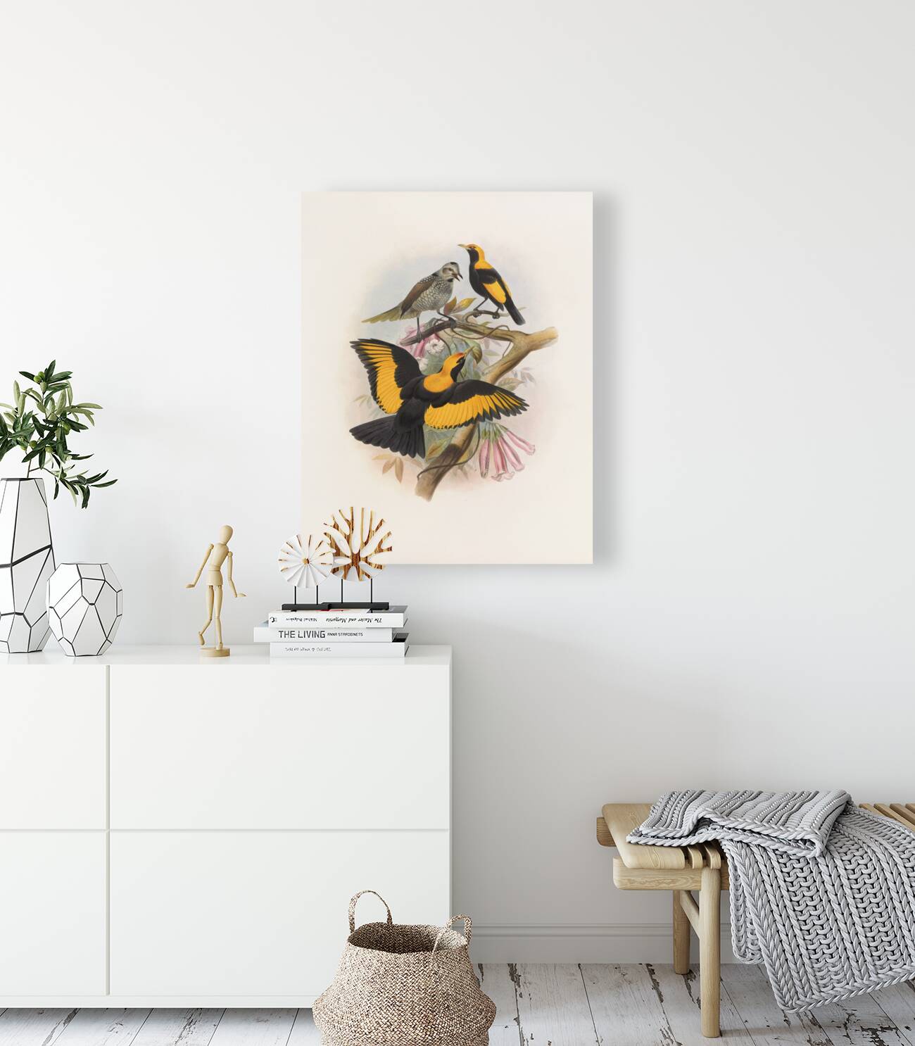 Sericulus melinus 1873 Reproduction