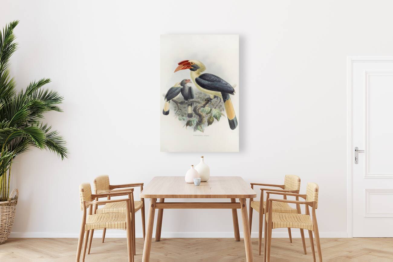 Penelopides affinis 1882 Reproduction