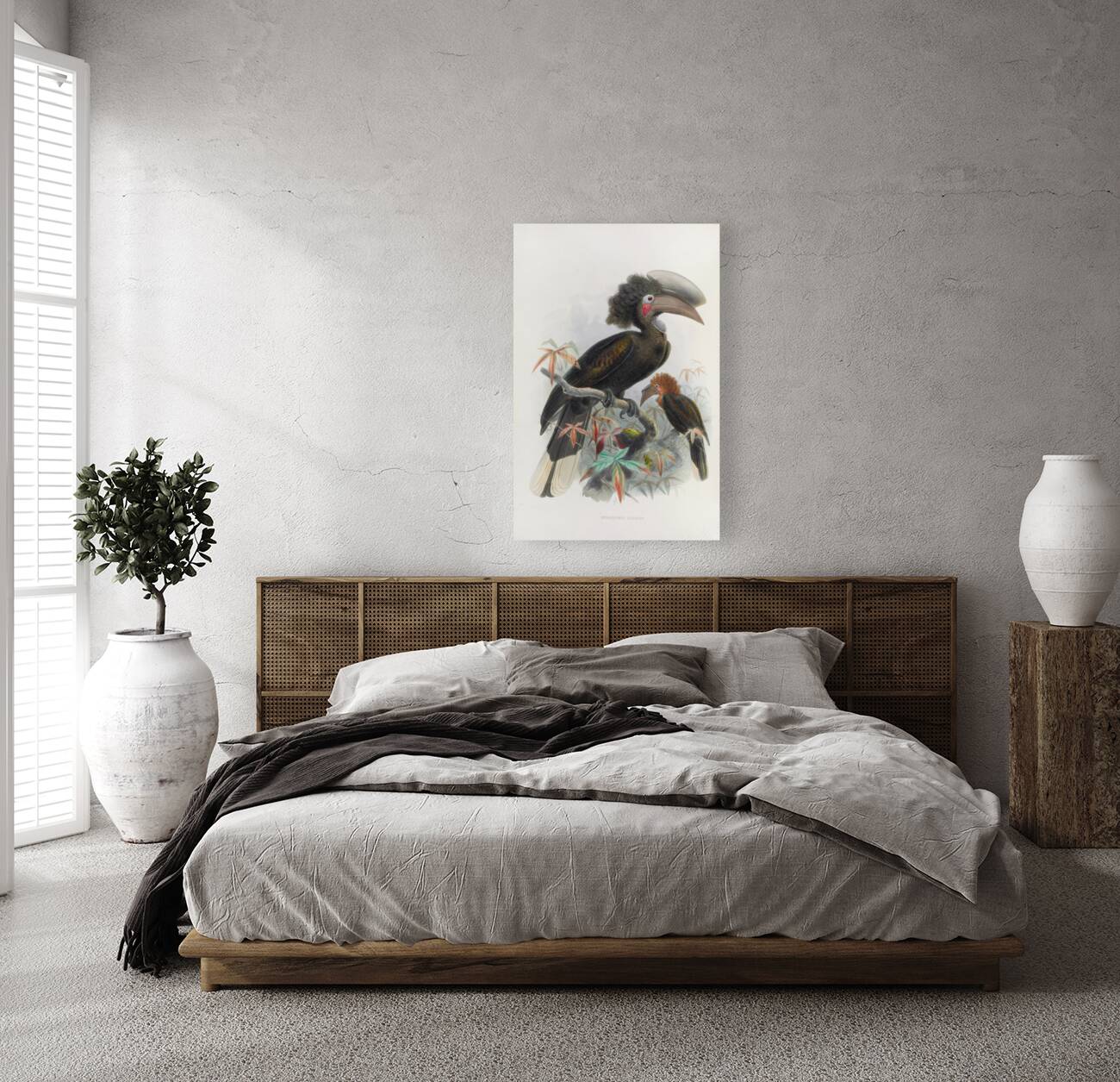 Sphagolobus atratus 1882 Reproduction