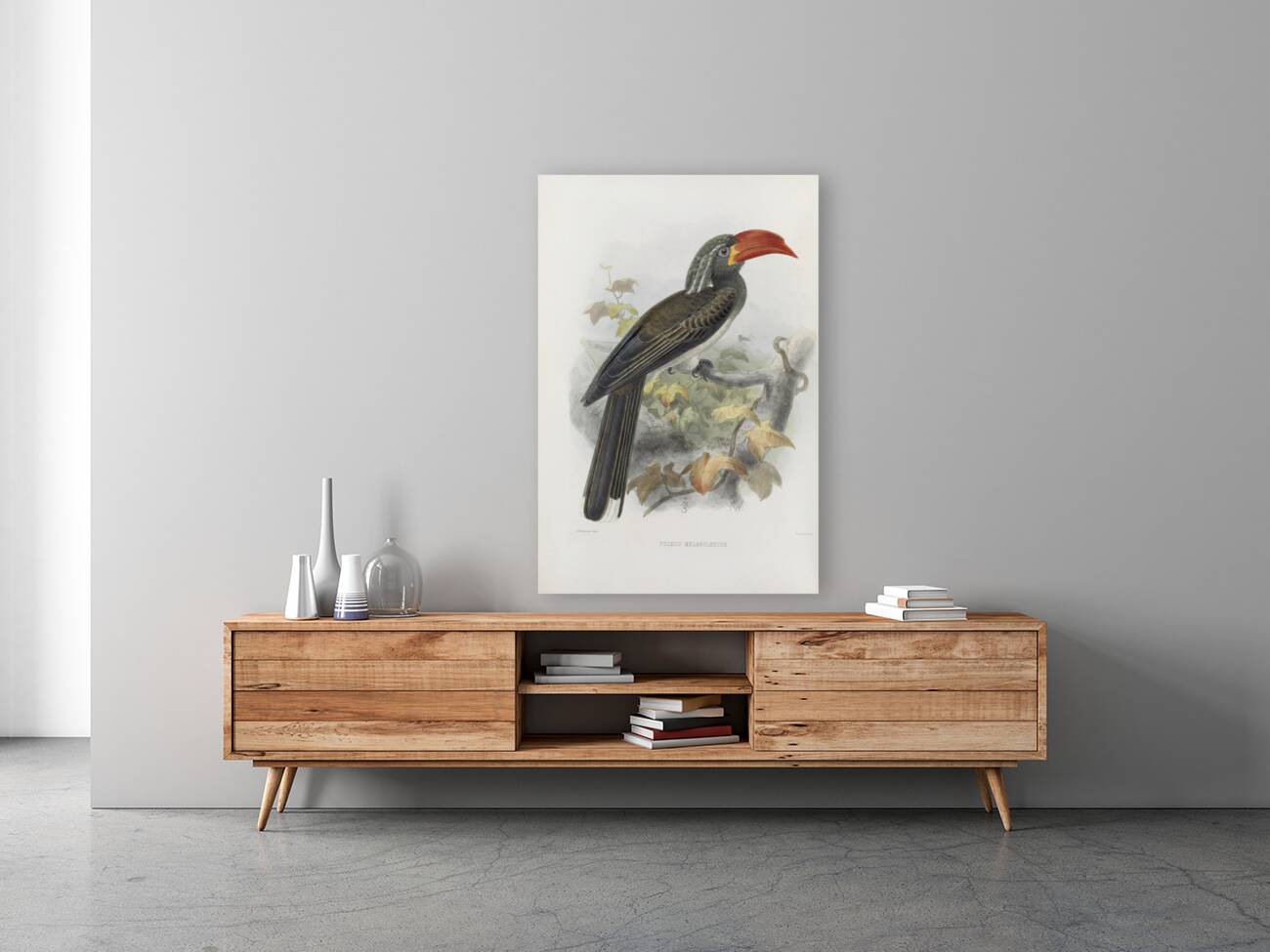 Tockus melanoleucus 1882 Reproduction