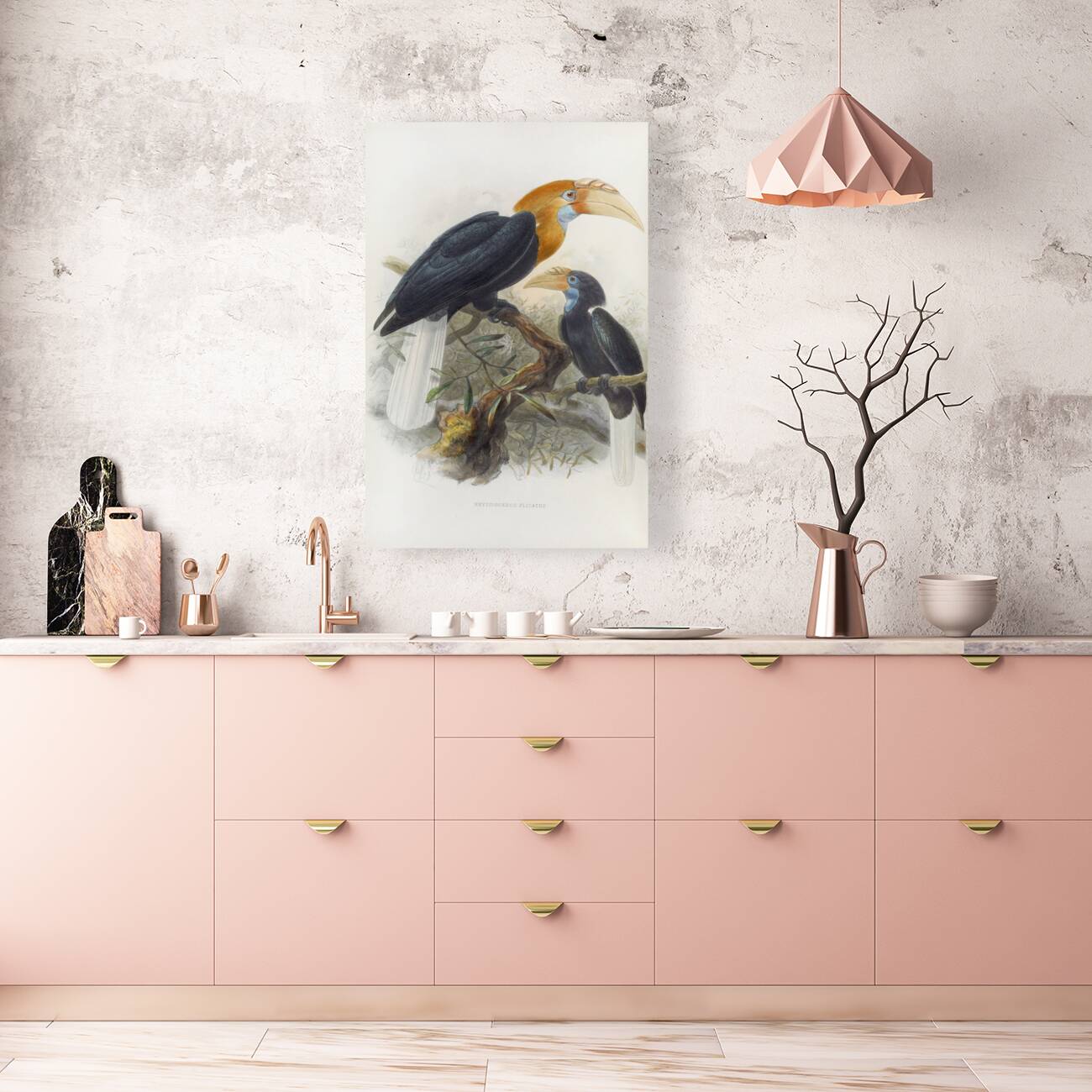 Rhytidoceros plicatus 1882 Reproduction