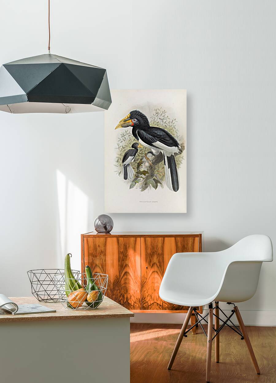 Pholidophalus sharpii 1882 Reproduction