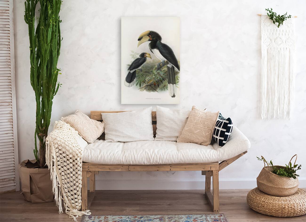 Anthracoceros malabaricus 1882 Reproduction