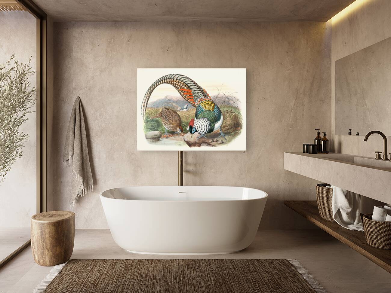 Thaumalea Amherstiæ. 1872 Reproduction