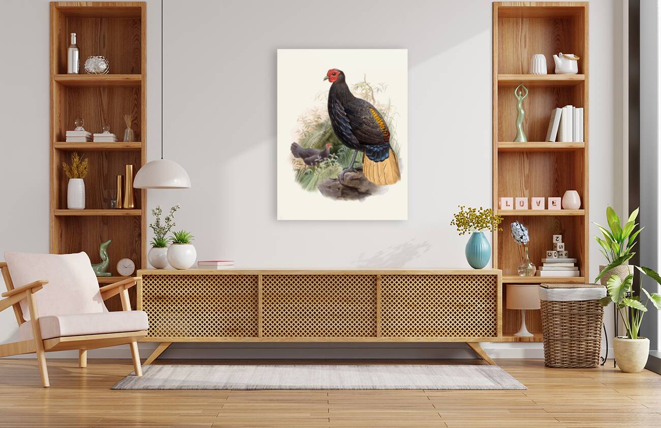 Euplocamus Pyronotus 1872 Reproduction