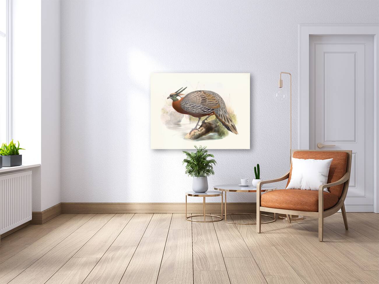 Purcasia Duvauceli. 1872 Reproduction