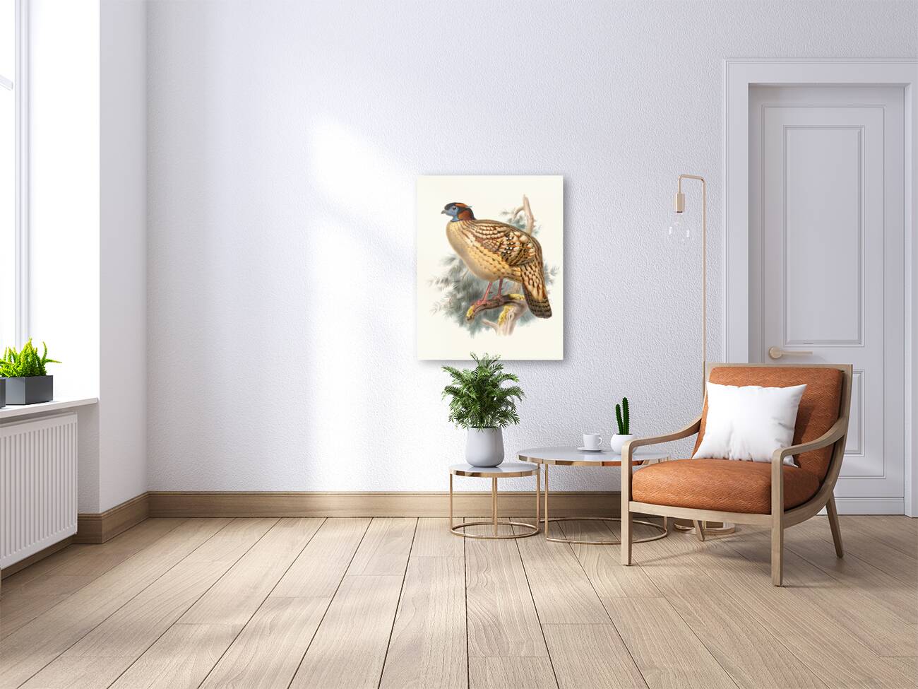 Ceriornis Caboti. 1872 Reproduction