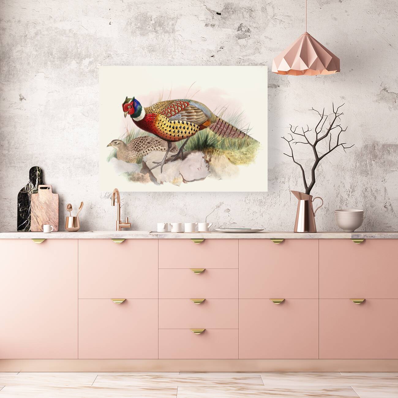 Phasianus torquatus. 1872 Reproduction