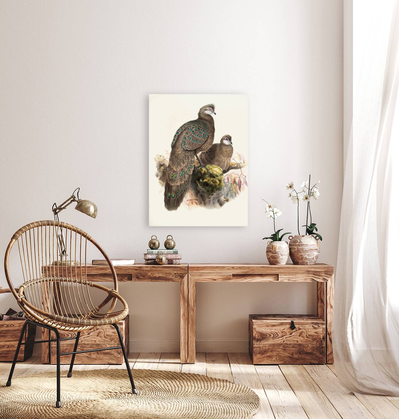 Polyplectron thibetanum. 1872 Reproduction