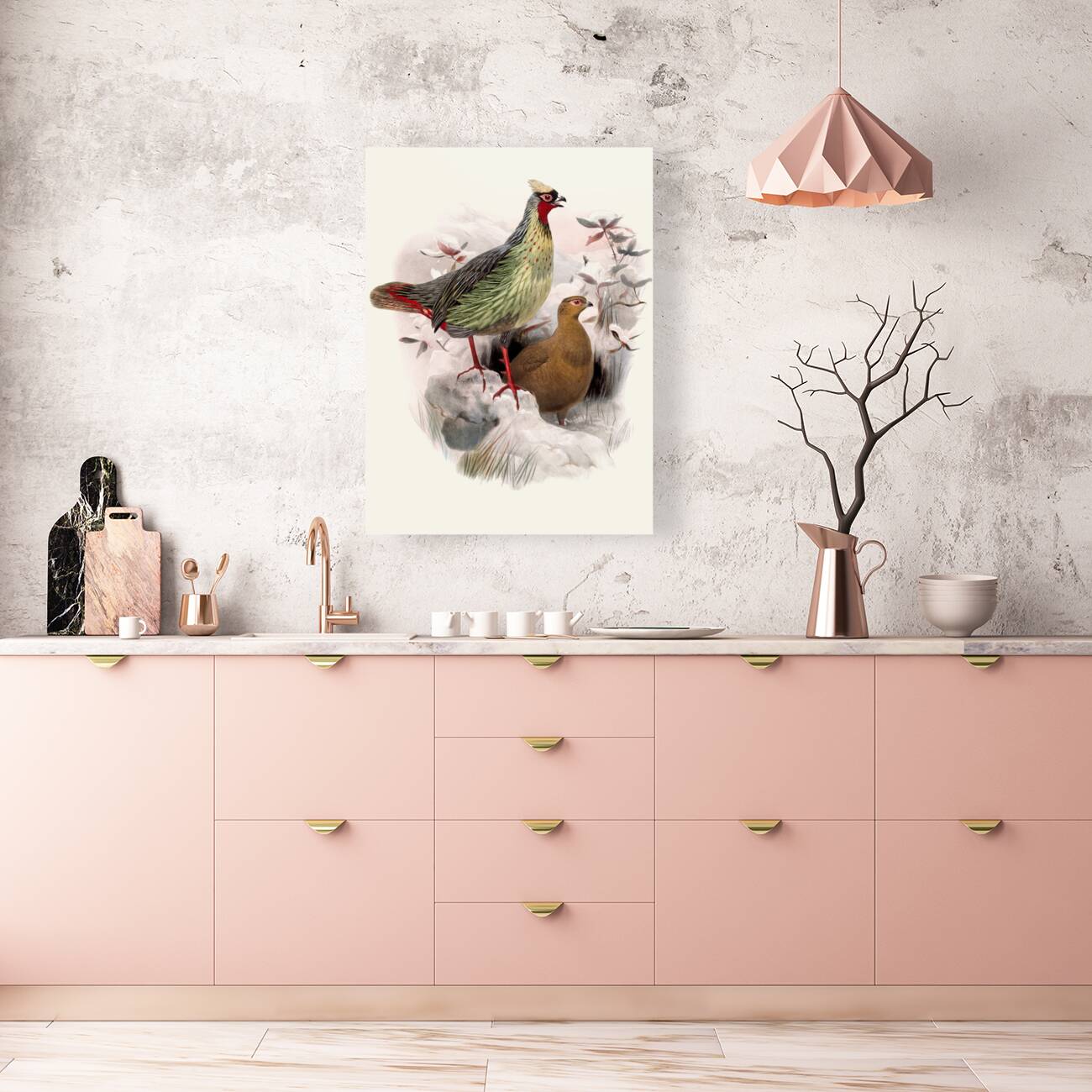 Ithalginis cruentus. 1872 Reproduction