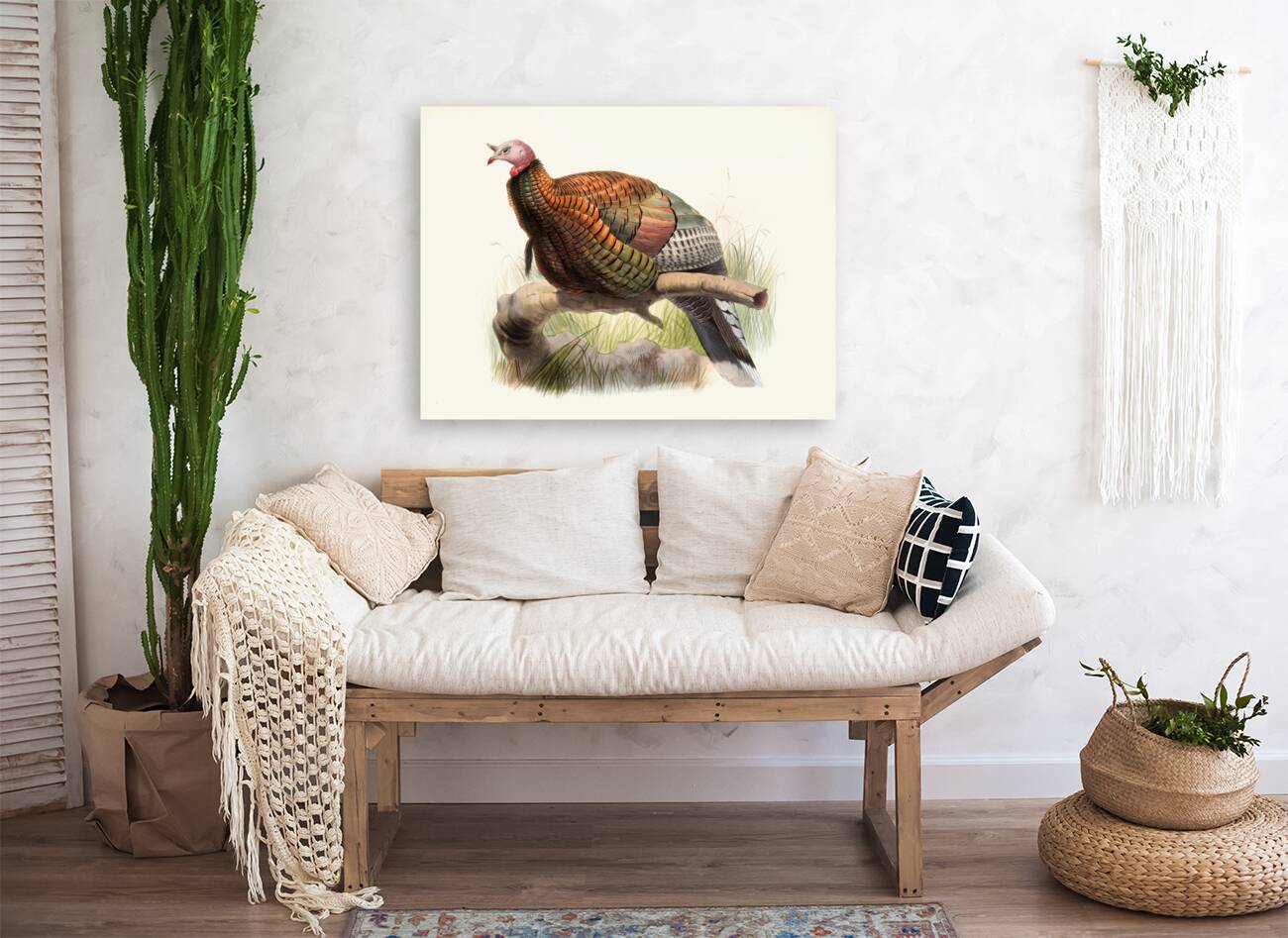 Meleagris Mexicana 1872 Reproduction