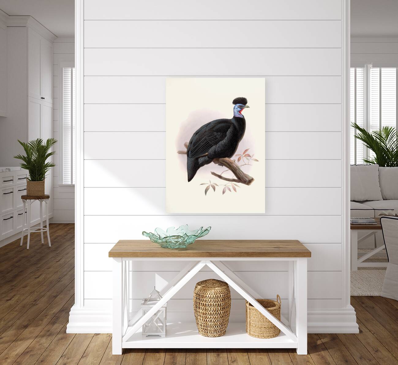 Numida Pucherani. 1872 Reproduction