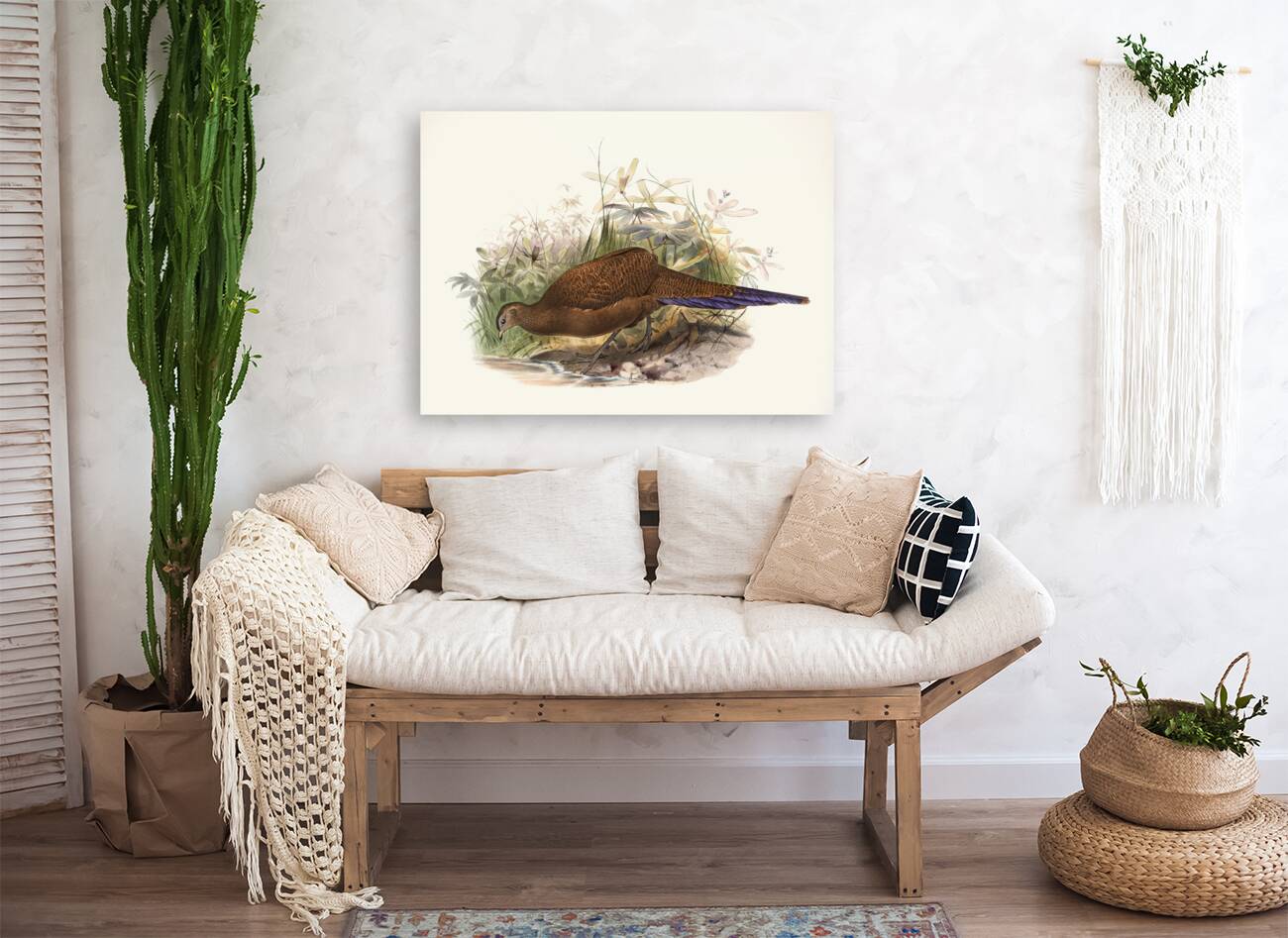 Polyplectron chalcurum. 1872 Reproduction