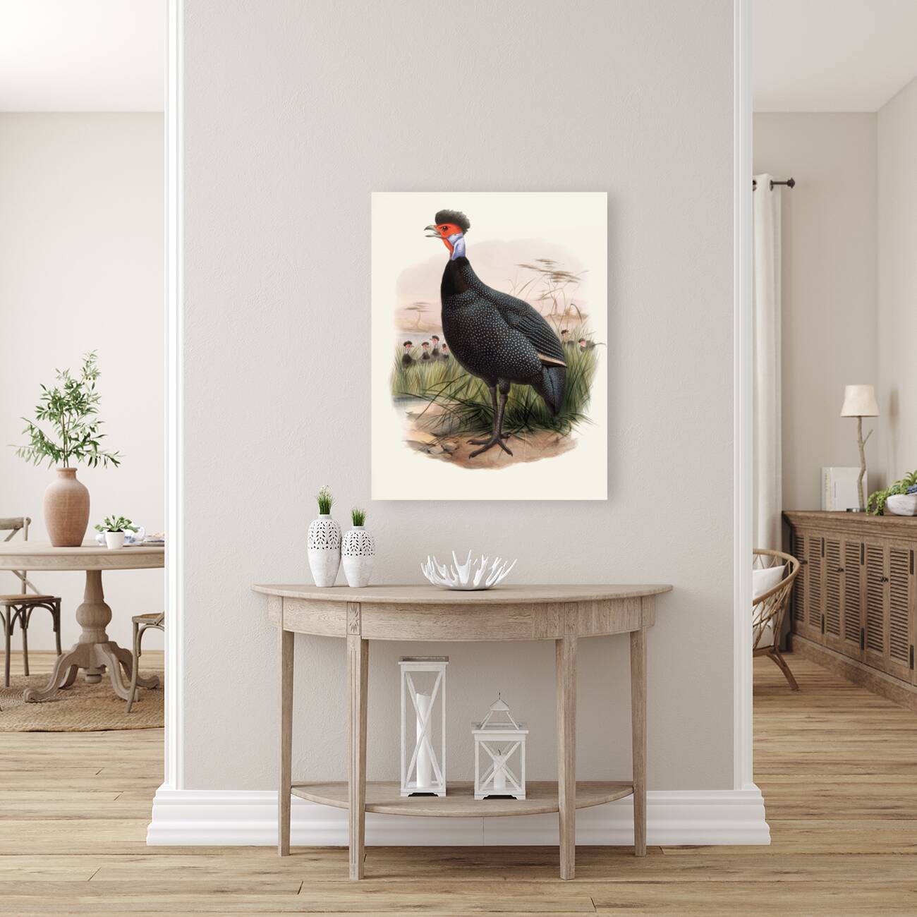 Numida Granti. 1872 Reproduction