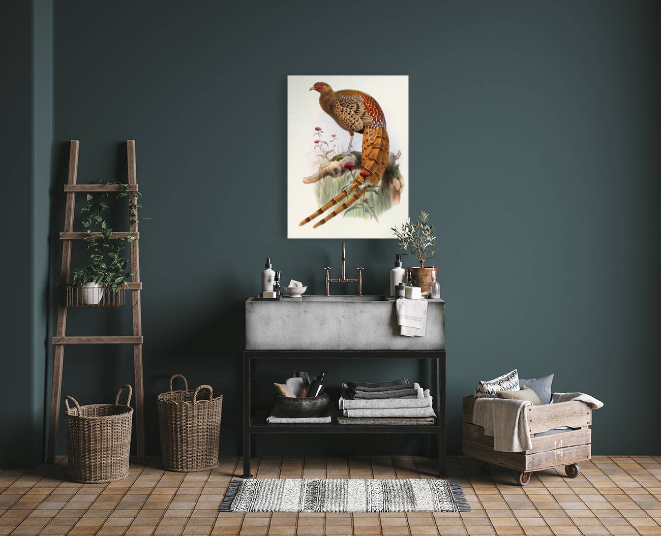 Phasianus Soemmerringi var scintillans. 1872 Reproduction