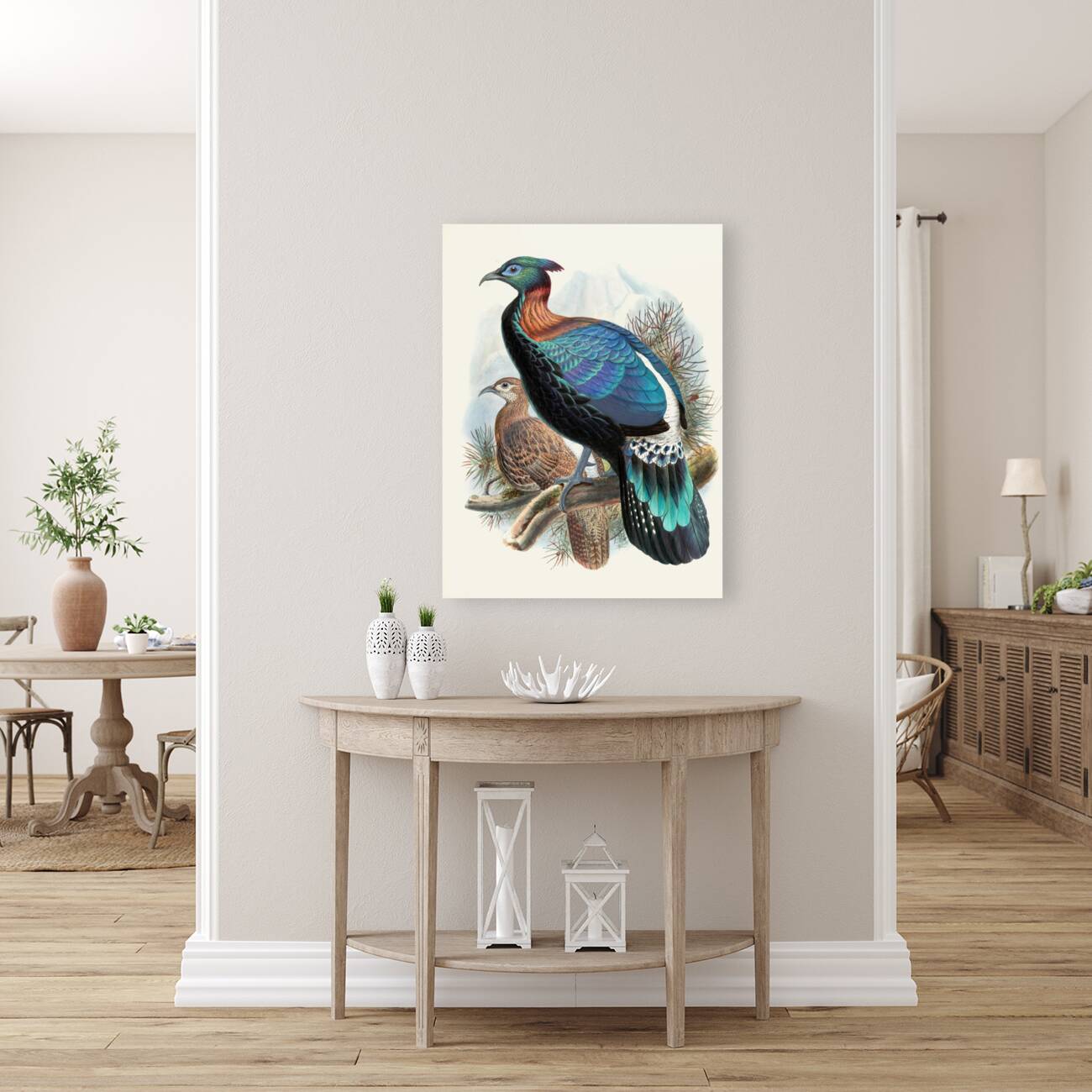 Lophophorus Lhuysii. 1872 Reproduction