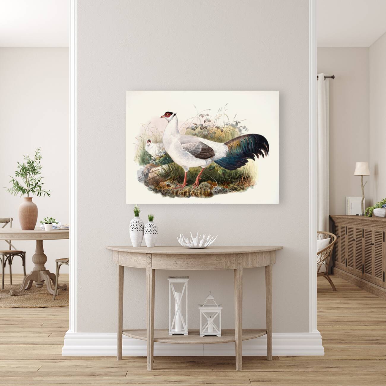 Crossoptilon thibetanum. 1872 Reproduction