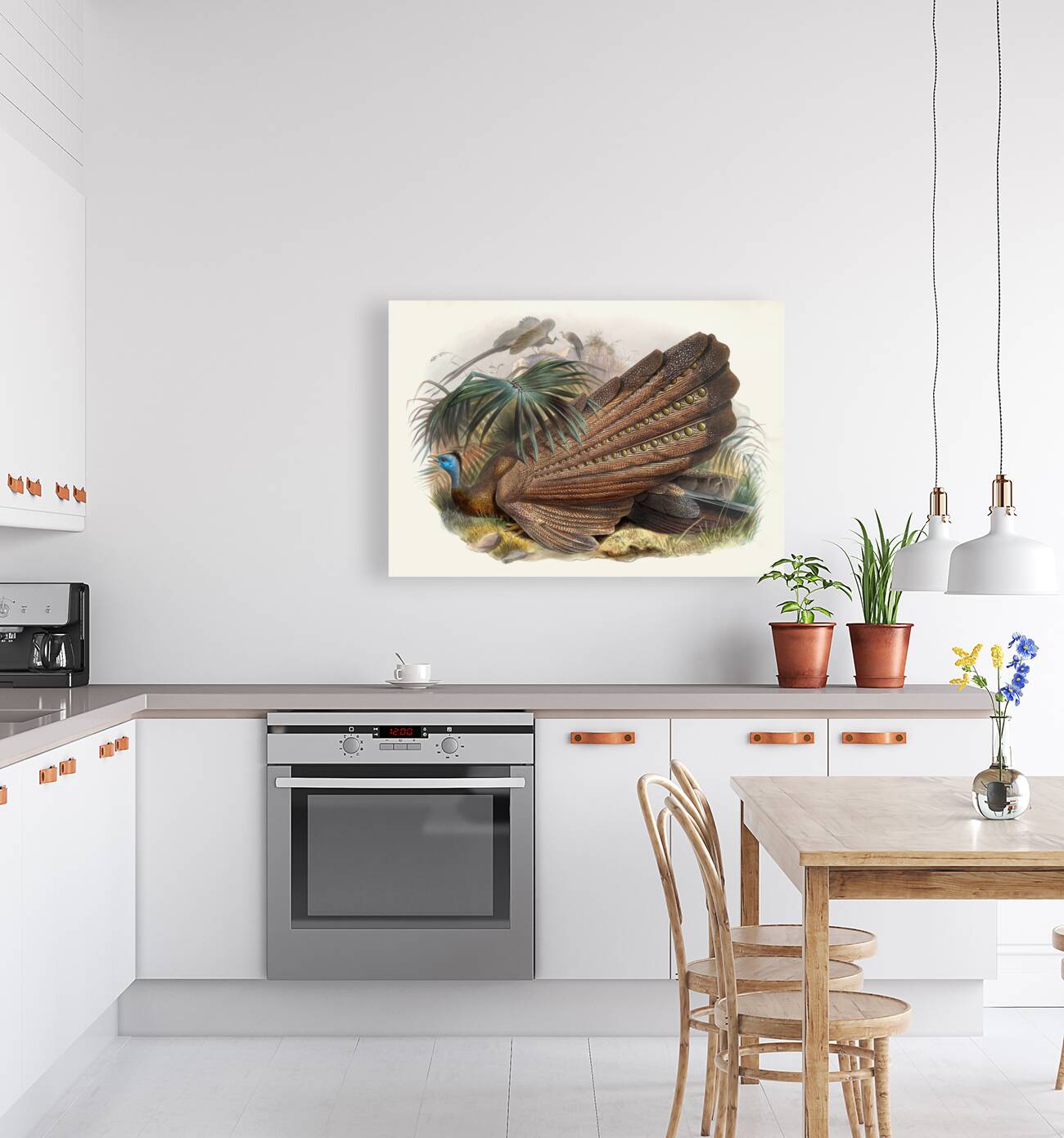 Argus giganteus. 1872 Reproduction