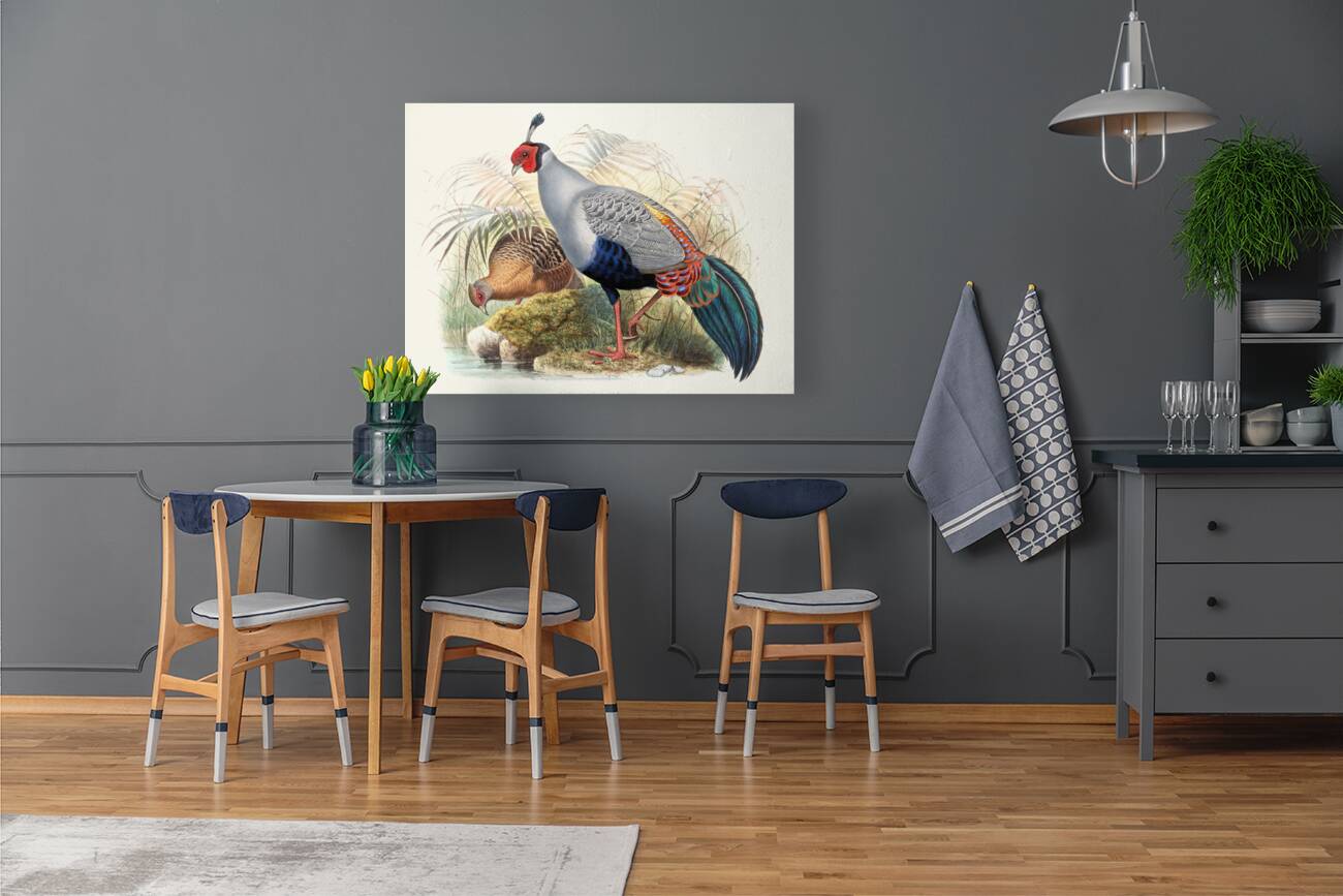 Euplocamus prælatus. 1872 Reproduction