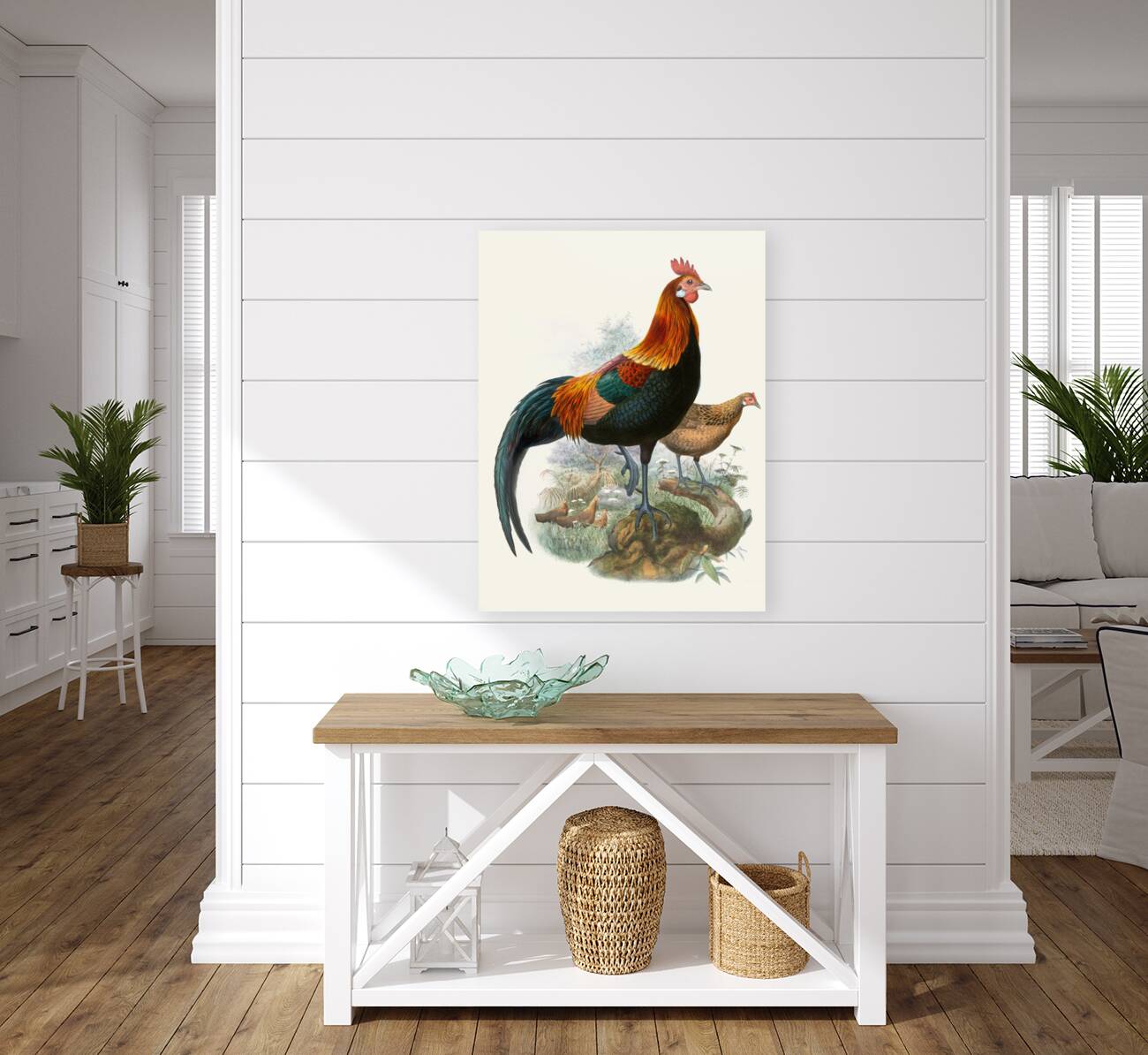 Gallus ferrugineus. 1872 Reproduction