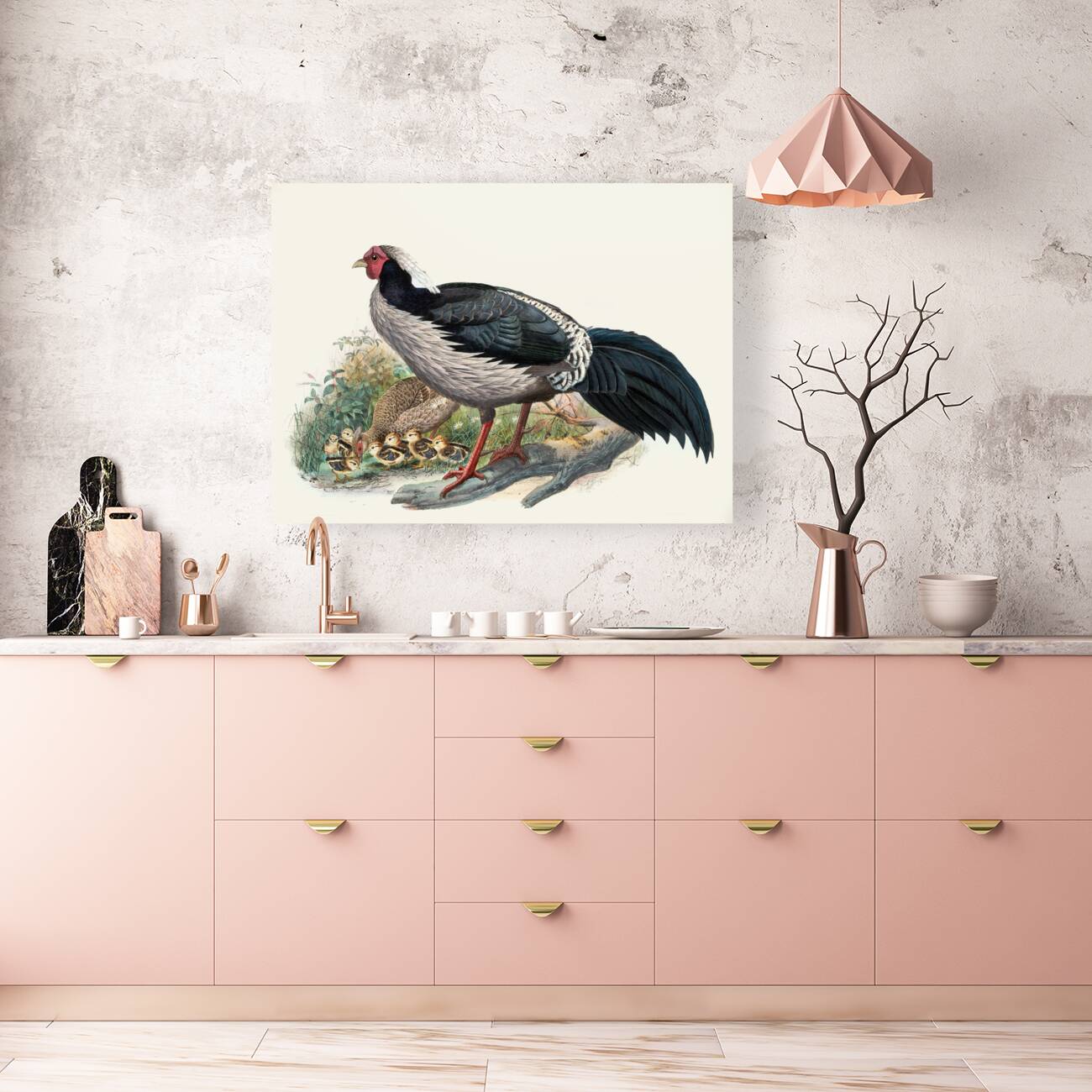 Euplocomus albo-cristatus. 1872 Reproduction