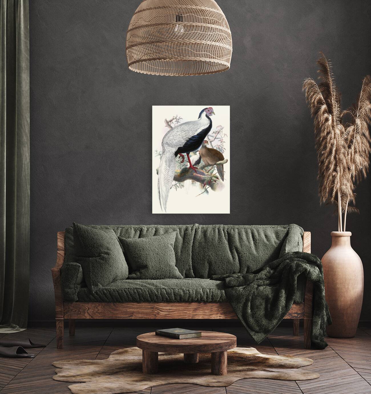 Euplocomus nycthemerus. 1872 Reproduction