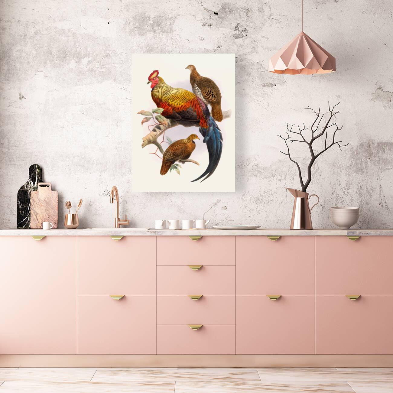 Gallus La-Fayettei. 1872 Reproduction