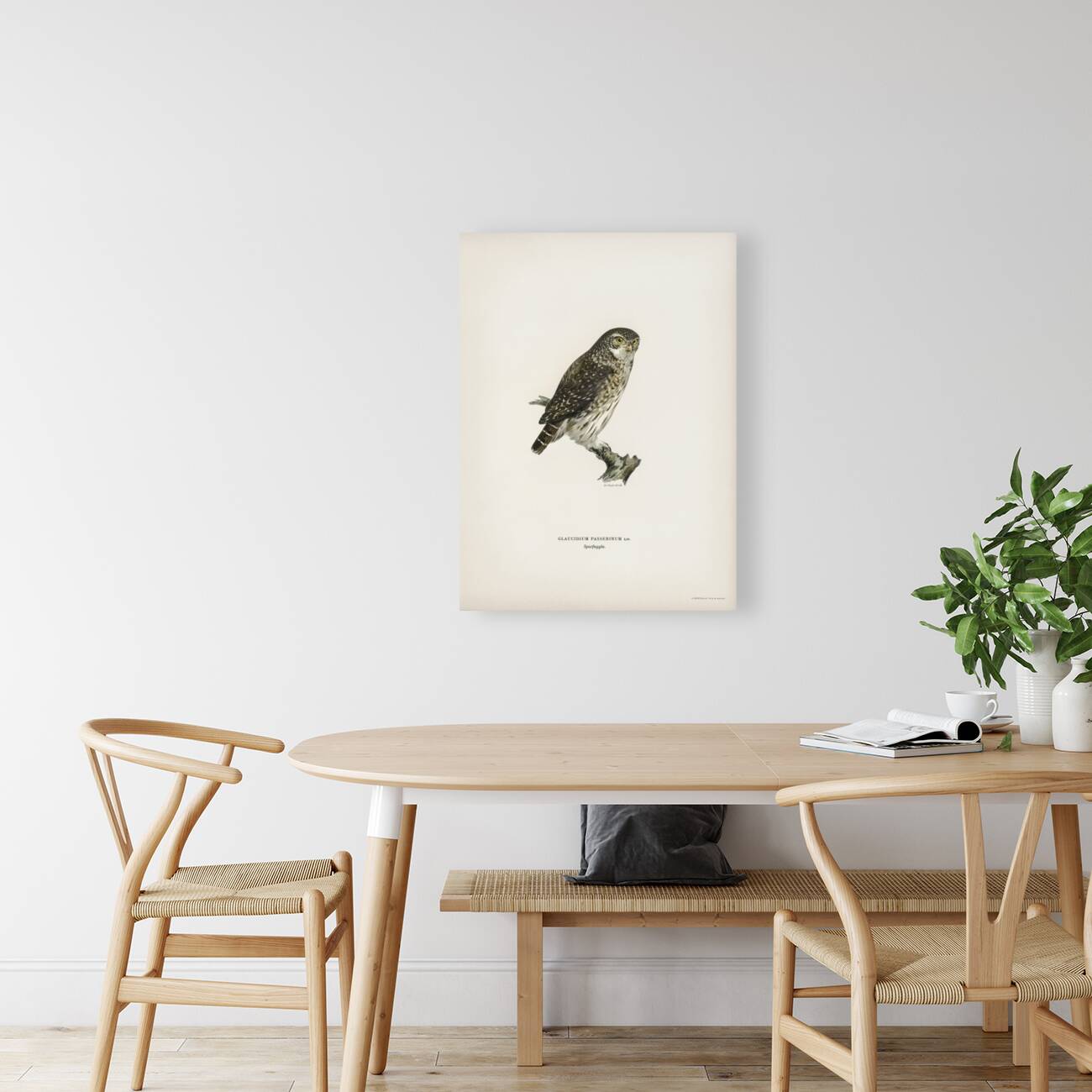 Glaucidium passerinum Reproduction