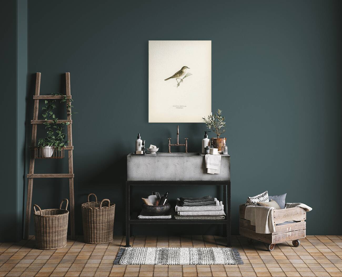 Locustella naevia Reproduction