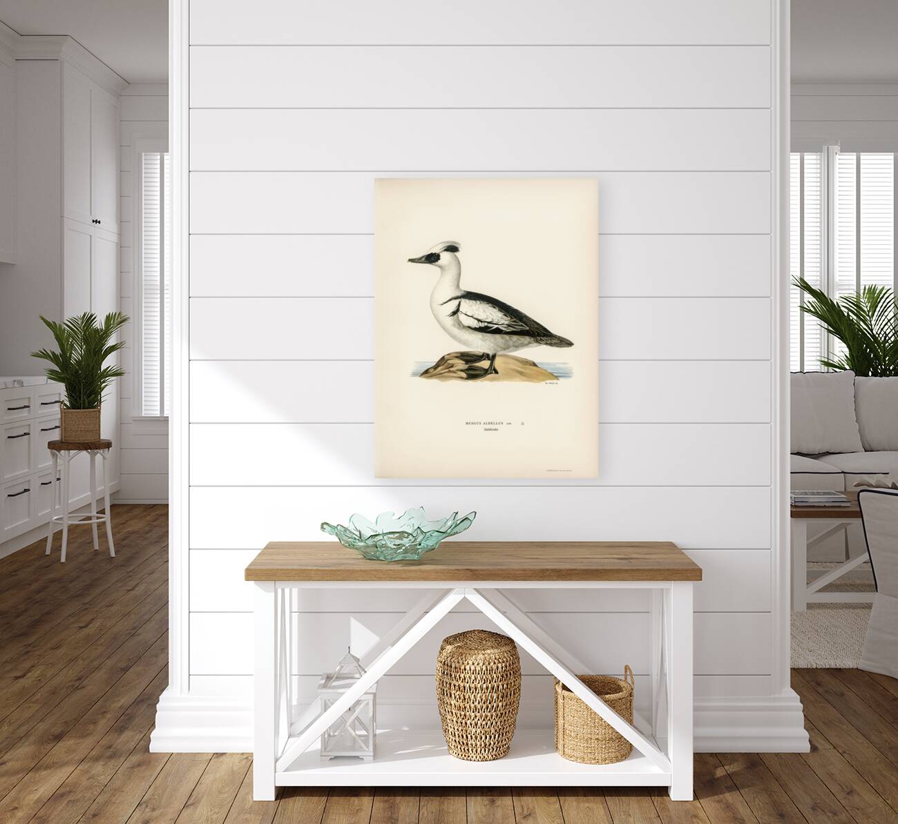 Mergellus albellus Reproduction