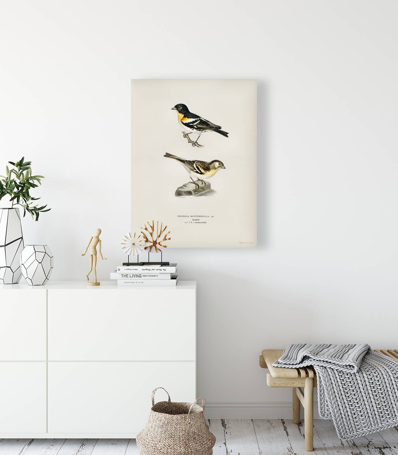 Eurasian skylark Alauda arvensis Reproduction