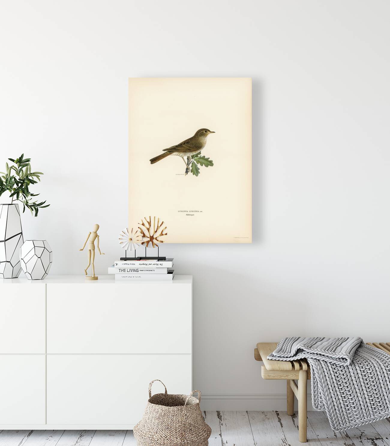 Thrush Nightingale Luscinia luscinia Reproduction