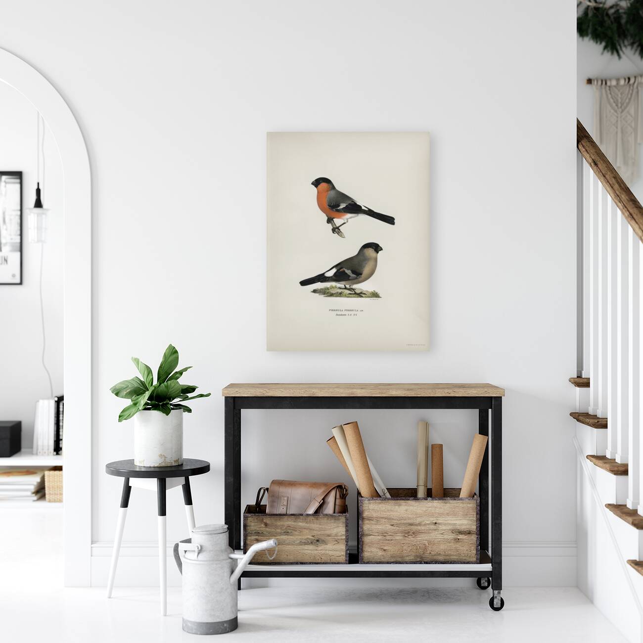 Pyrrhula Pyrrhula Reproduction