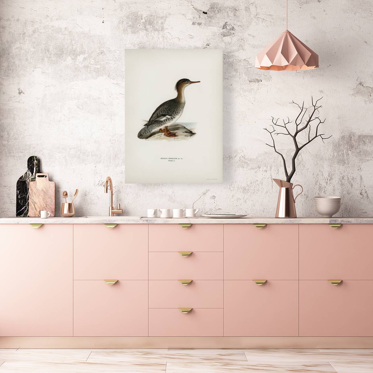 Mergus serrator Reproduction