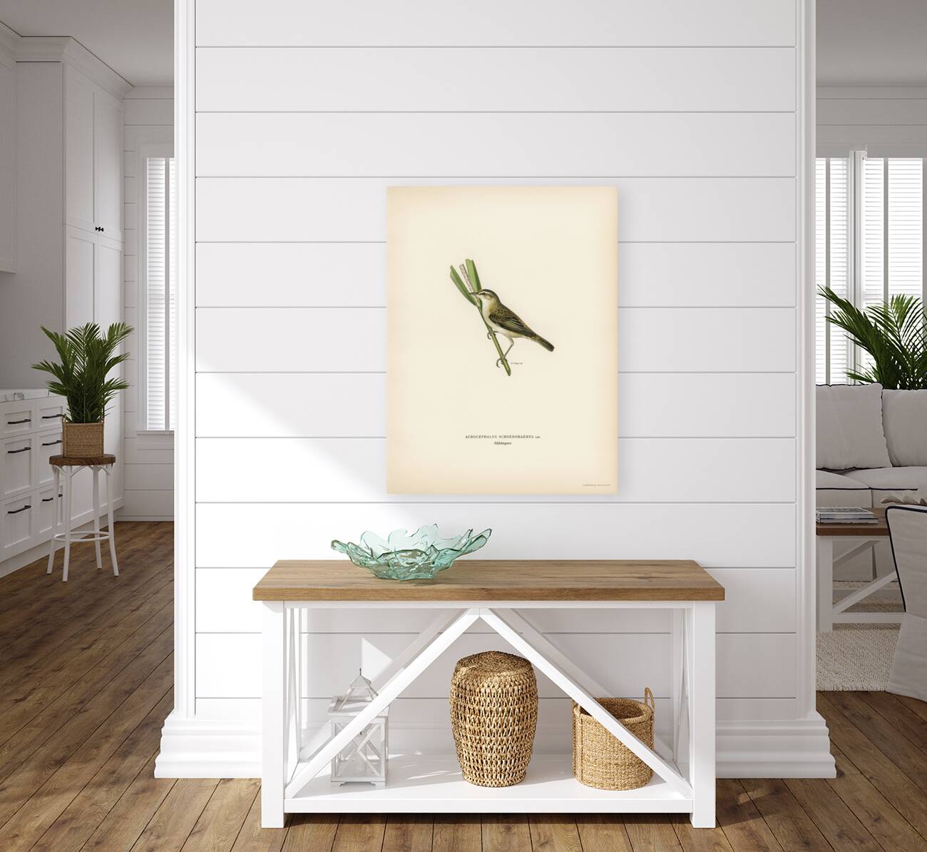 Sedge warbler Acrocephalus schoenobaenus Reproduction