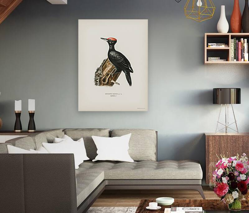 Dryocopus martius Reproduction